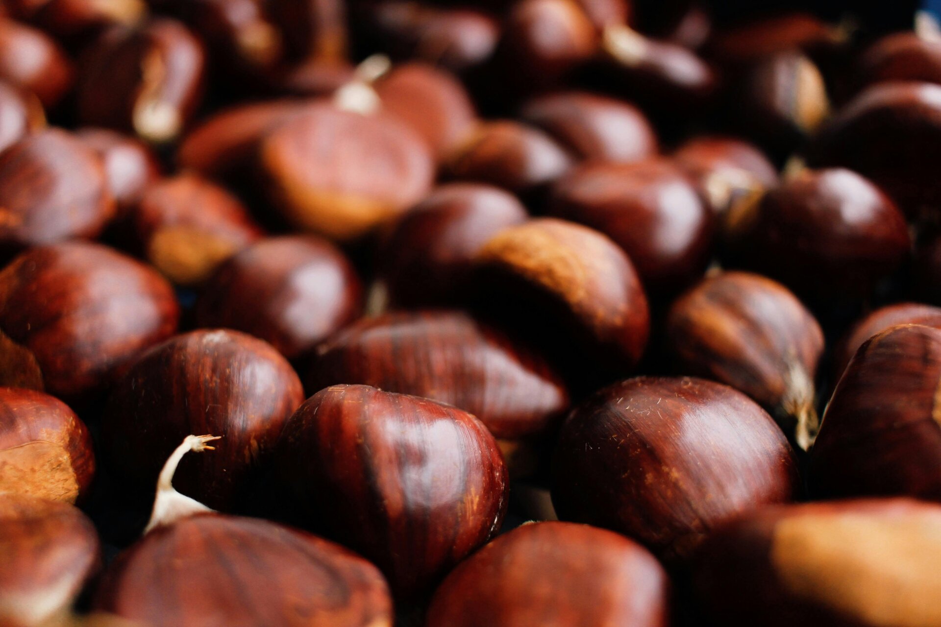Castagne