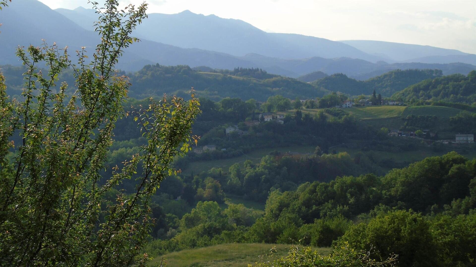 Images Ita 1 B3114668 4325 4f0c 8097 1f20e2f03c0c 99 Image
