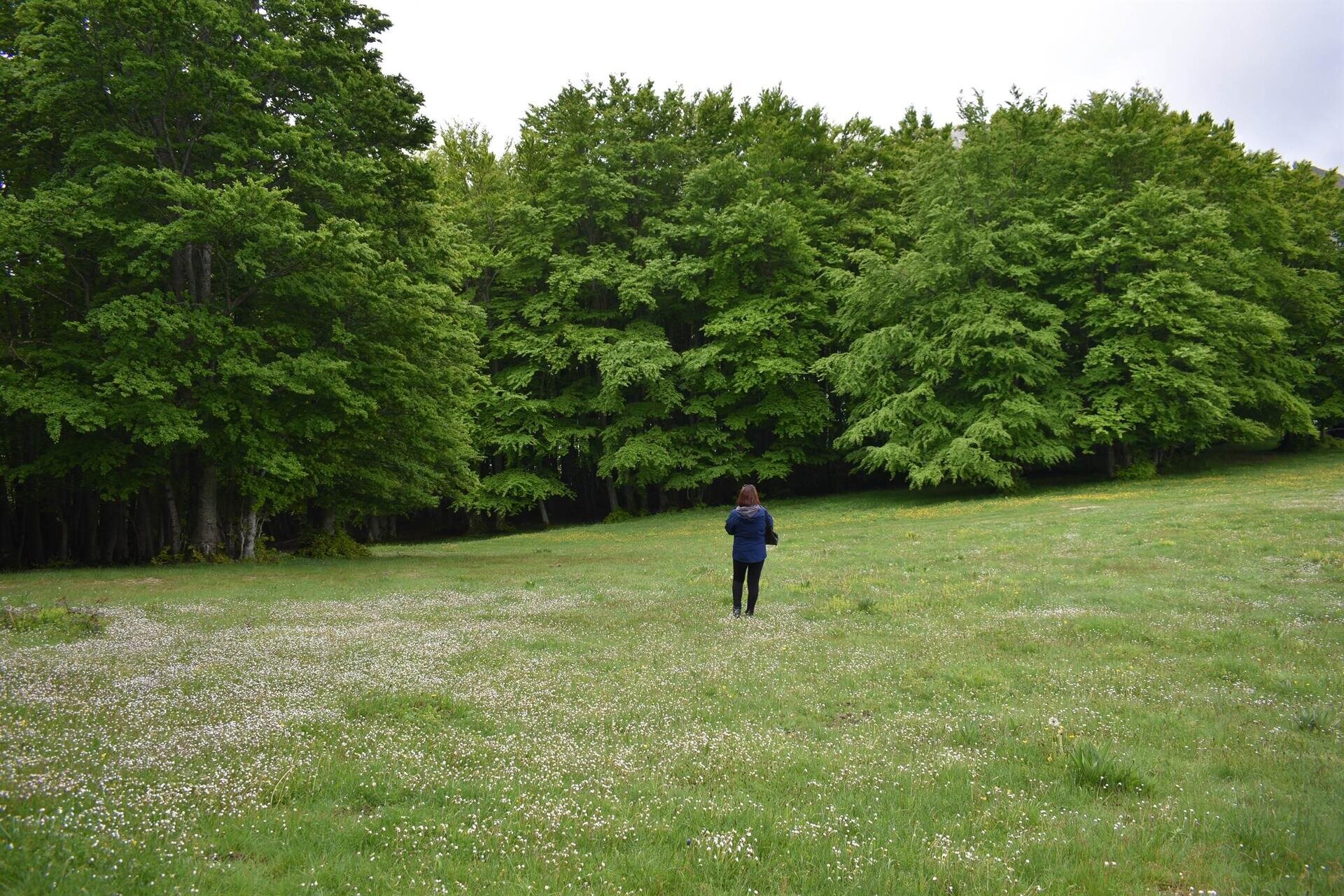 Benessere in natura - Immersioni forestali