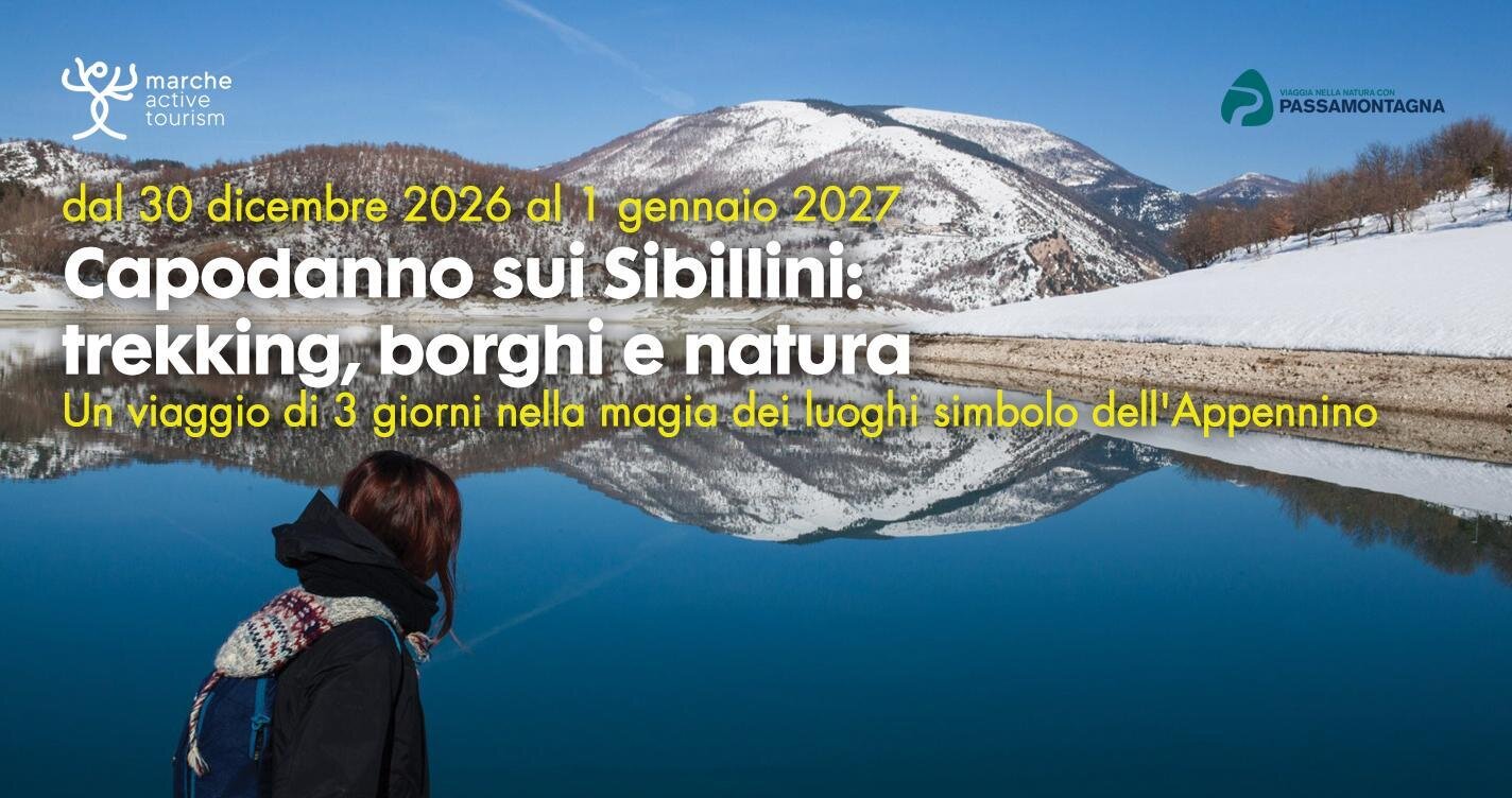 Images Ita 1 0f0c2c68 3a45 422d B564 66d1ea758328 99 Image