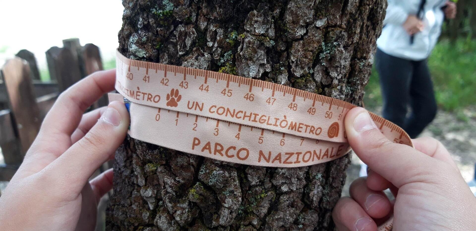 Images Ita 1 31b991be 641b 498c 9e66 172e2c41e478 99 Image