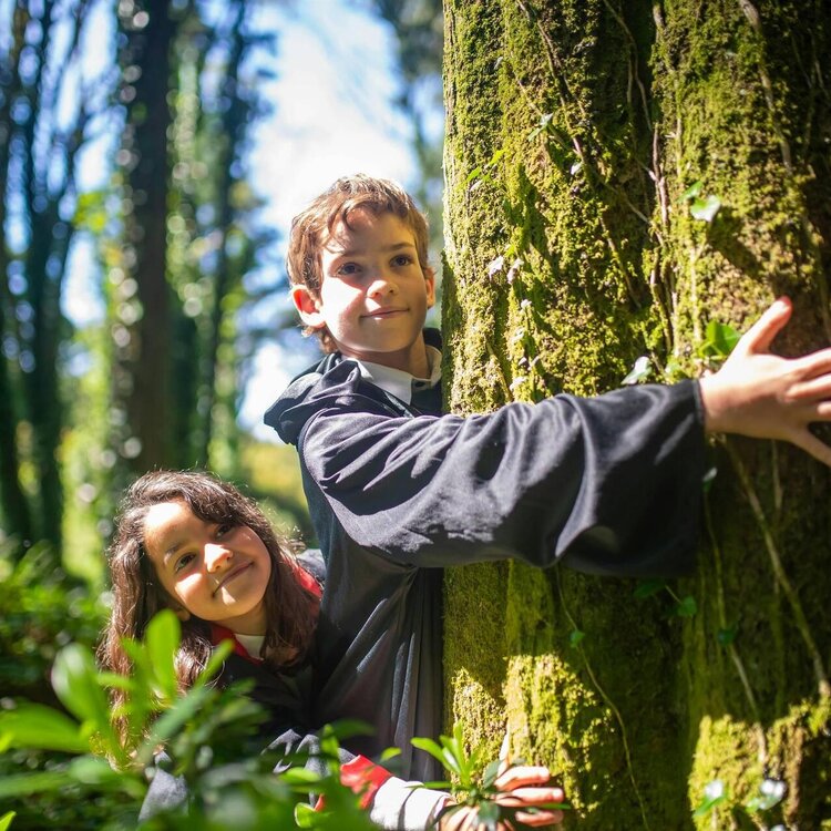 Forest Bathing al Lago di Fiastra