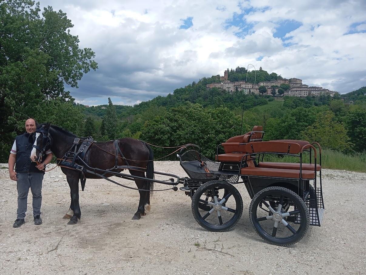 Giro in carrozza
