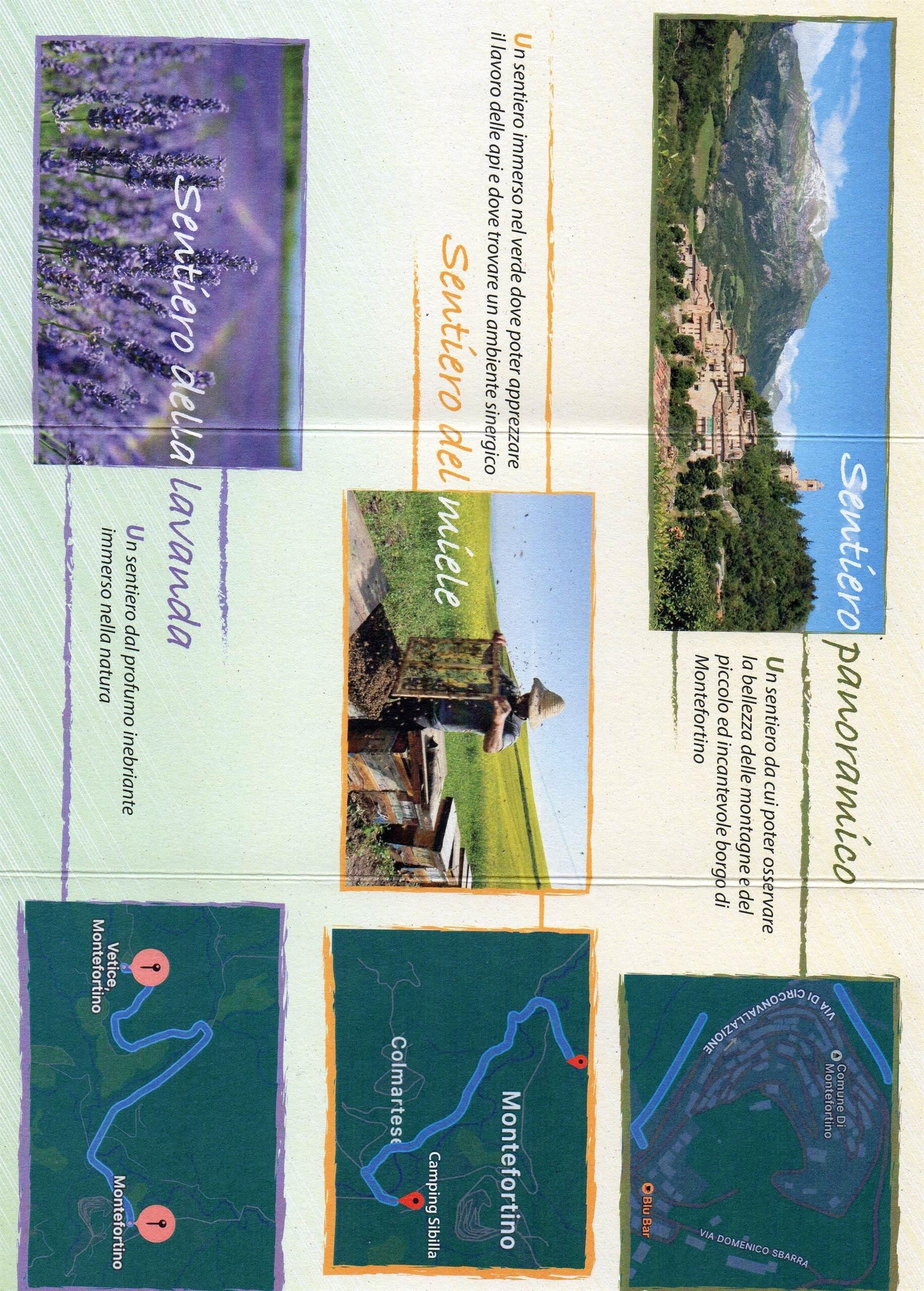 Images Ita 1 Cc50282d 3902 4d9c 9ad1 Af08fe55cf98 99 Image