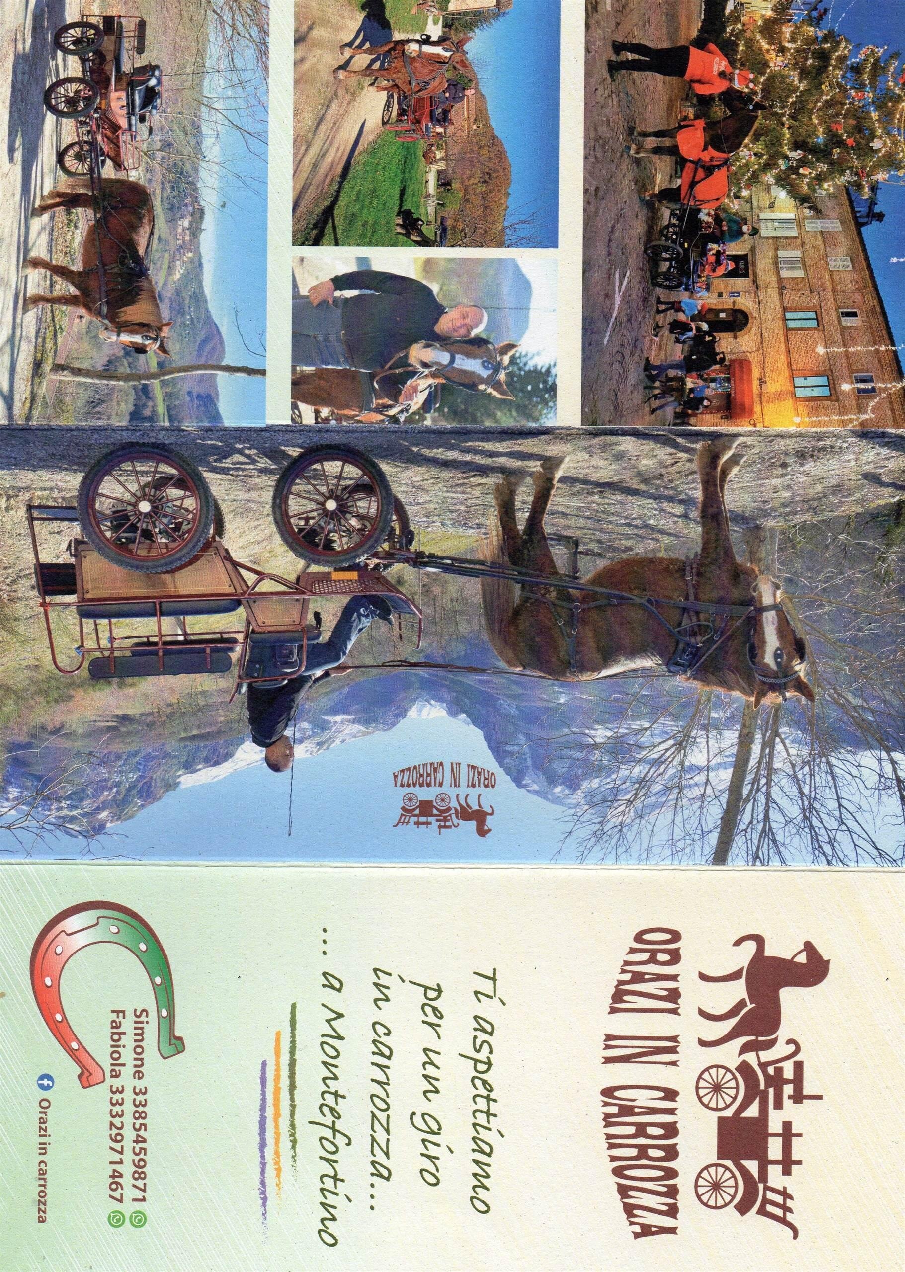 Images Ita 1 1c5a2fff 4c09 44dd 8a34 Dafd6b55d3ff 99 Image