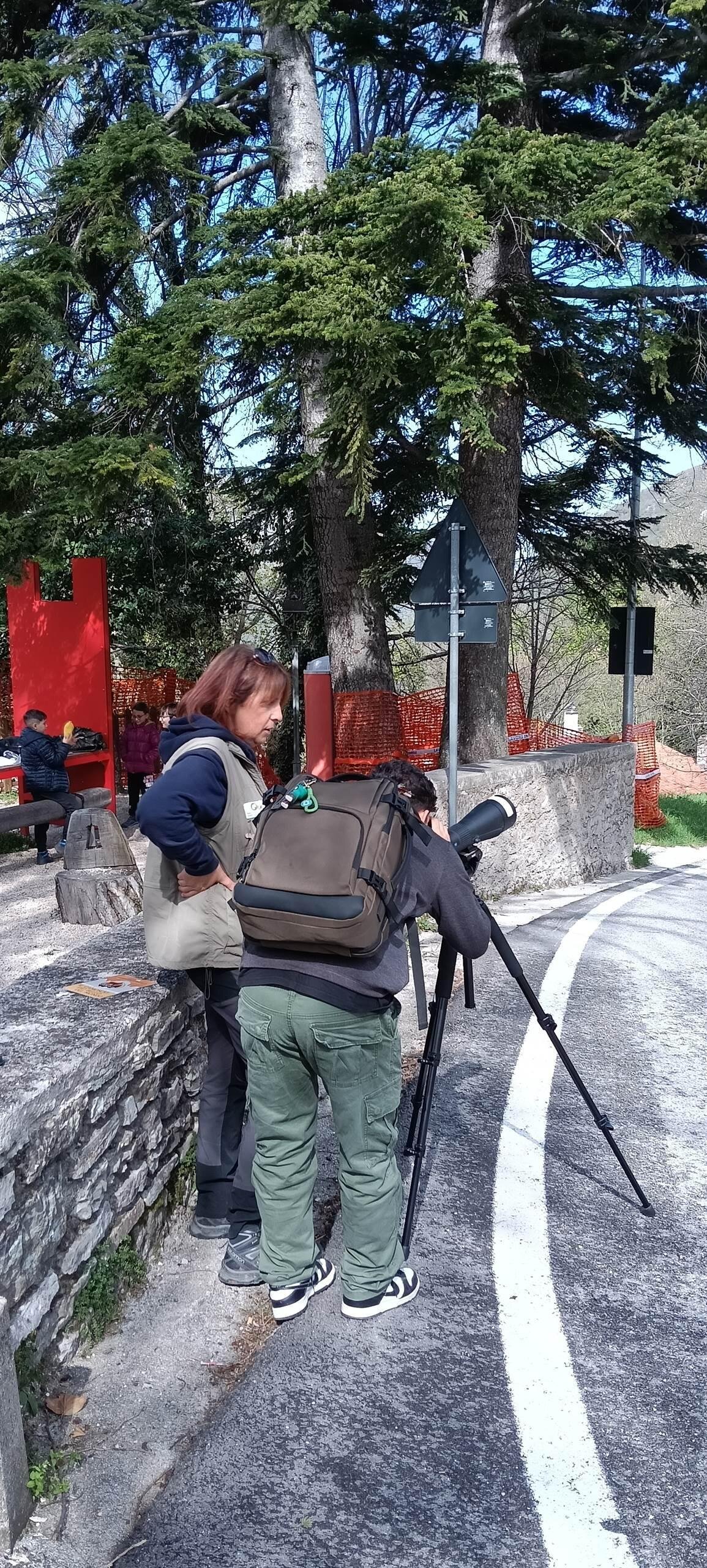 Images Ita 1 8c69fd0c 7270 4484 Bc08 Eceb735a43d3 99 Image