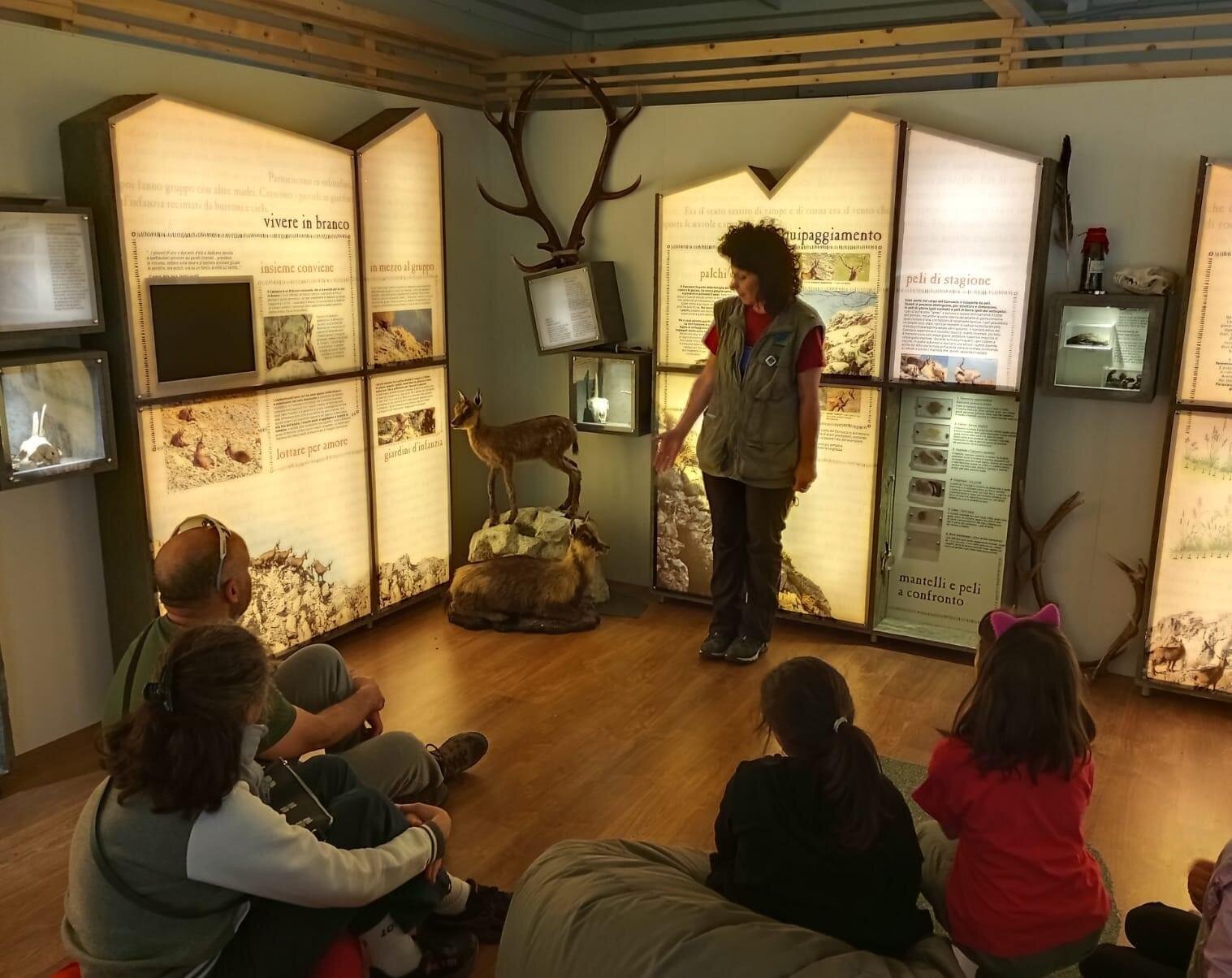 Visita guidata nel Museo del Camoscio Appenninico