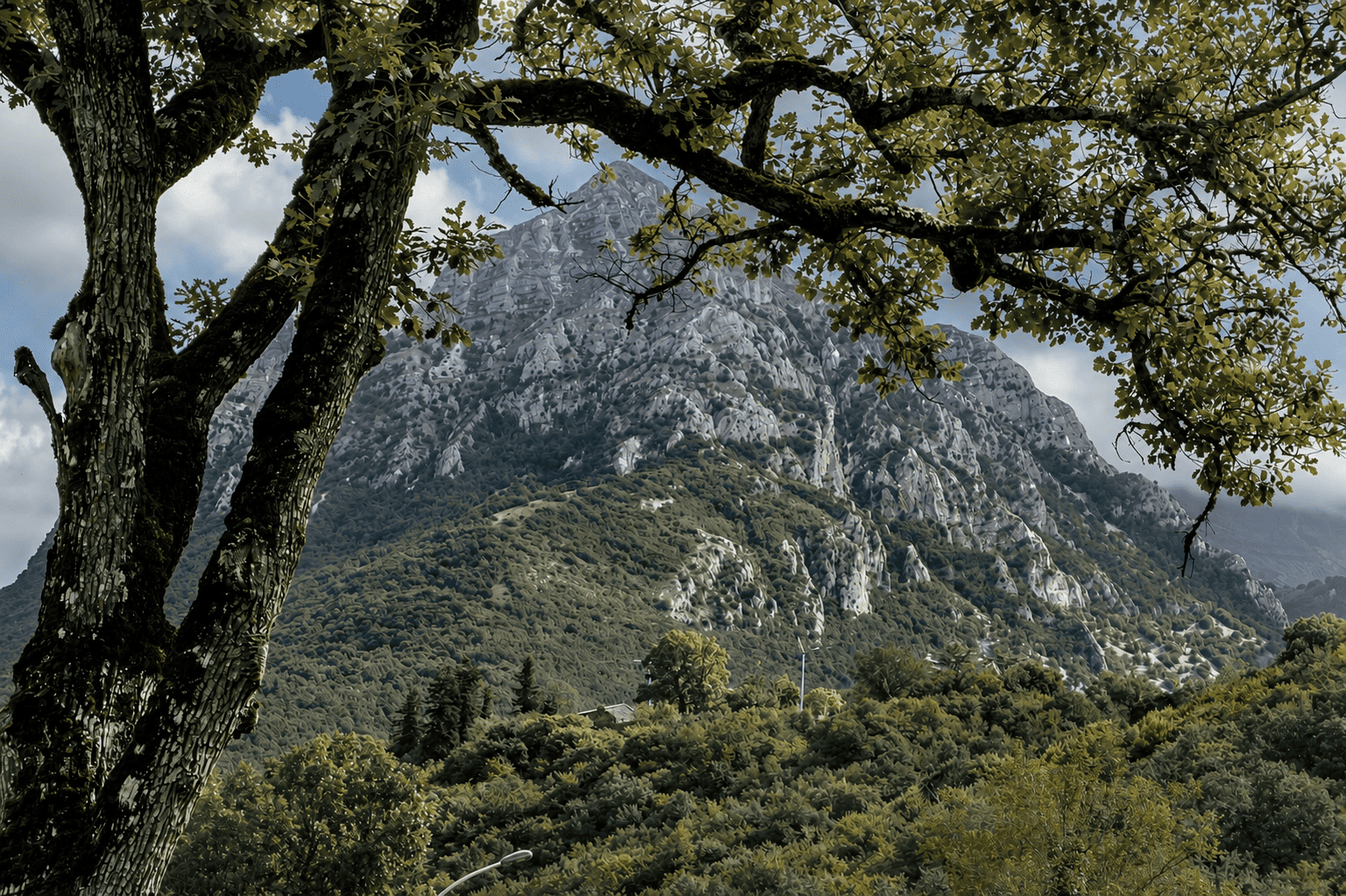 Images Ita 1 476e55f8 F498 45fc 940e Ef1e4f7b8a73 99 Image