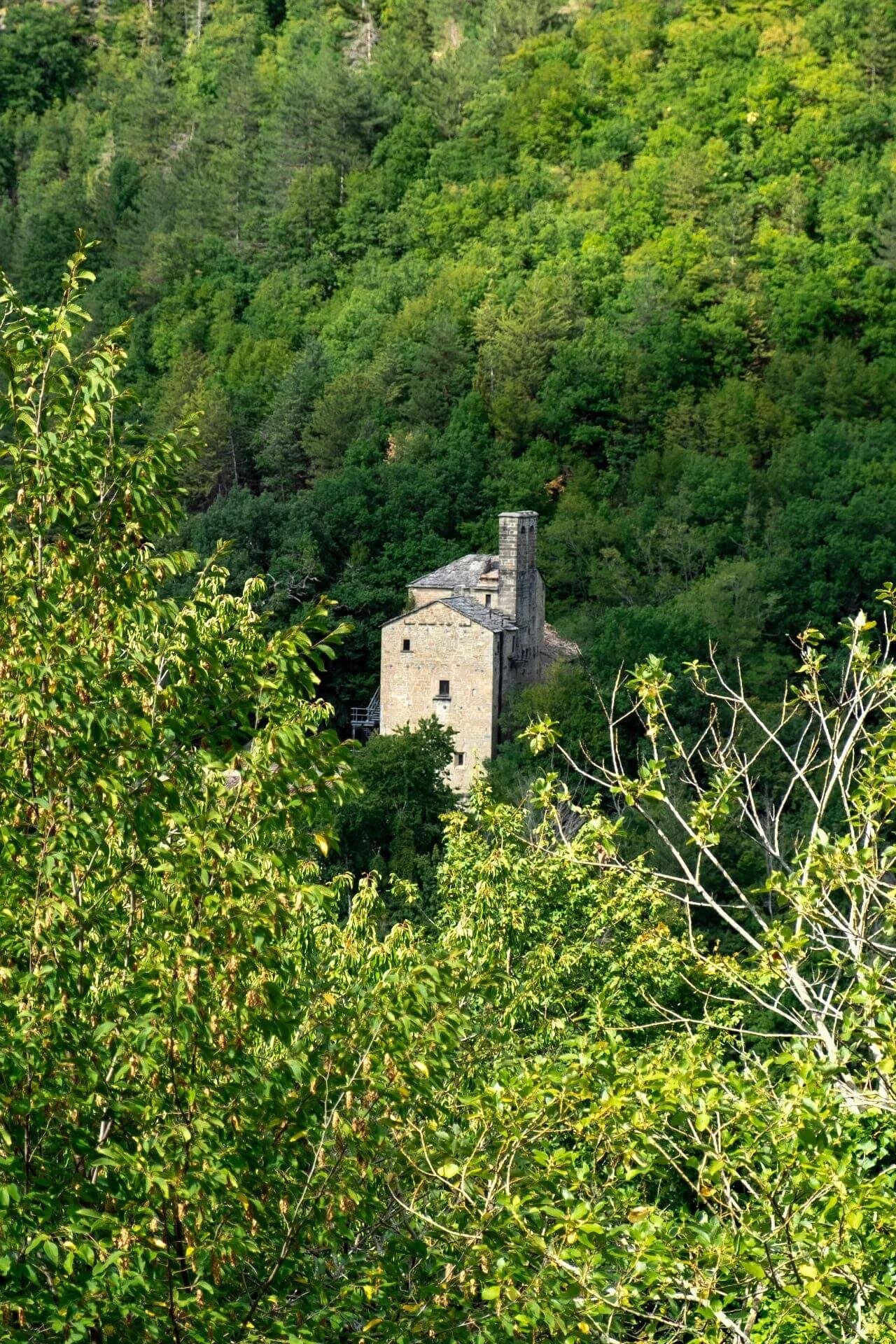 Images Ita 1 8d770a11 1ff5 4b9d B09b 66fbabdccd3b 99 Image