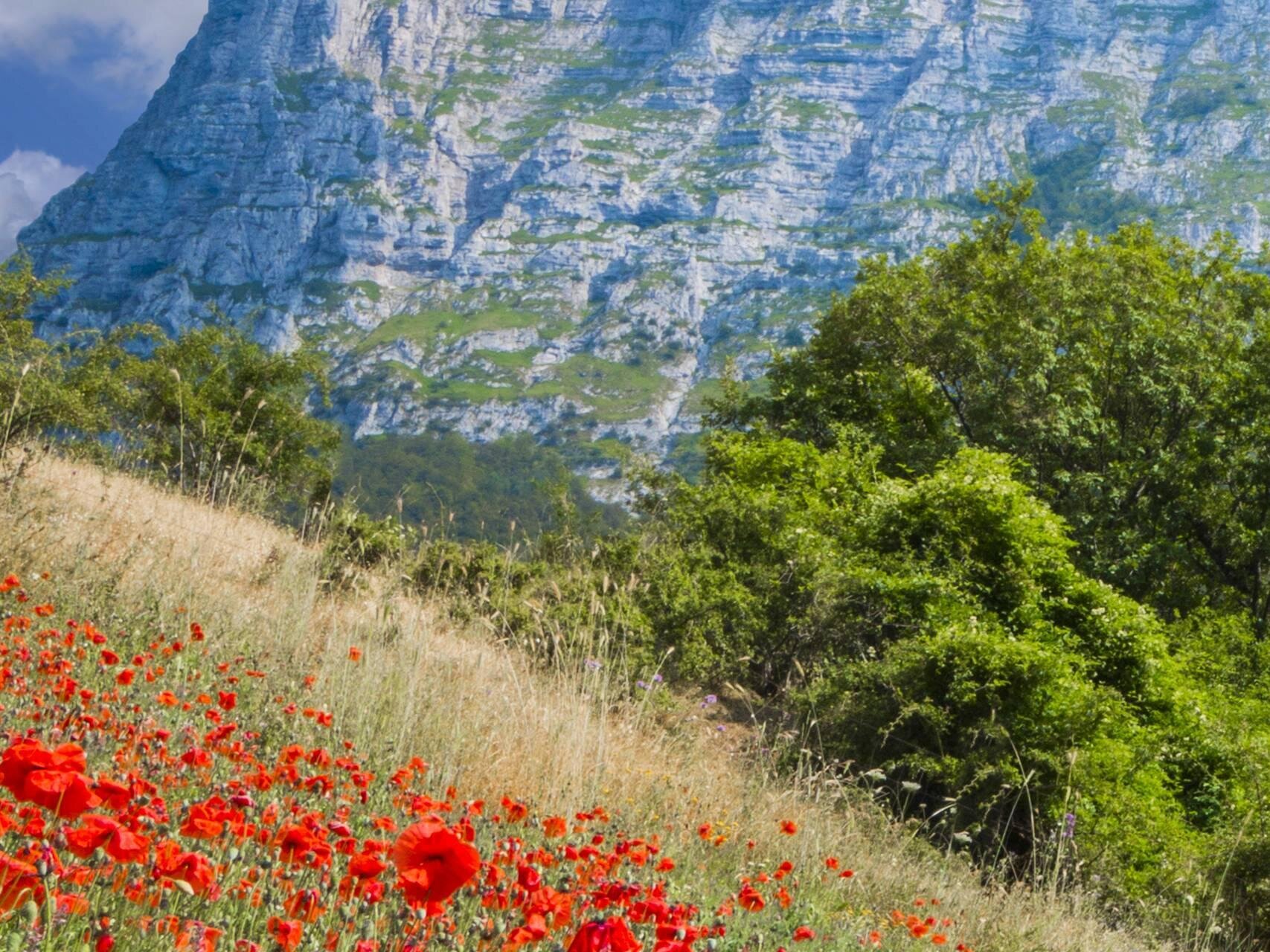 Croce di Monte Bove