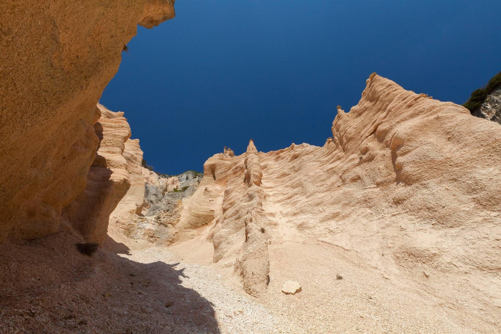 Lame Rosse