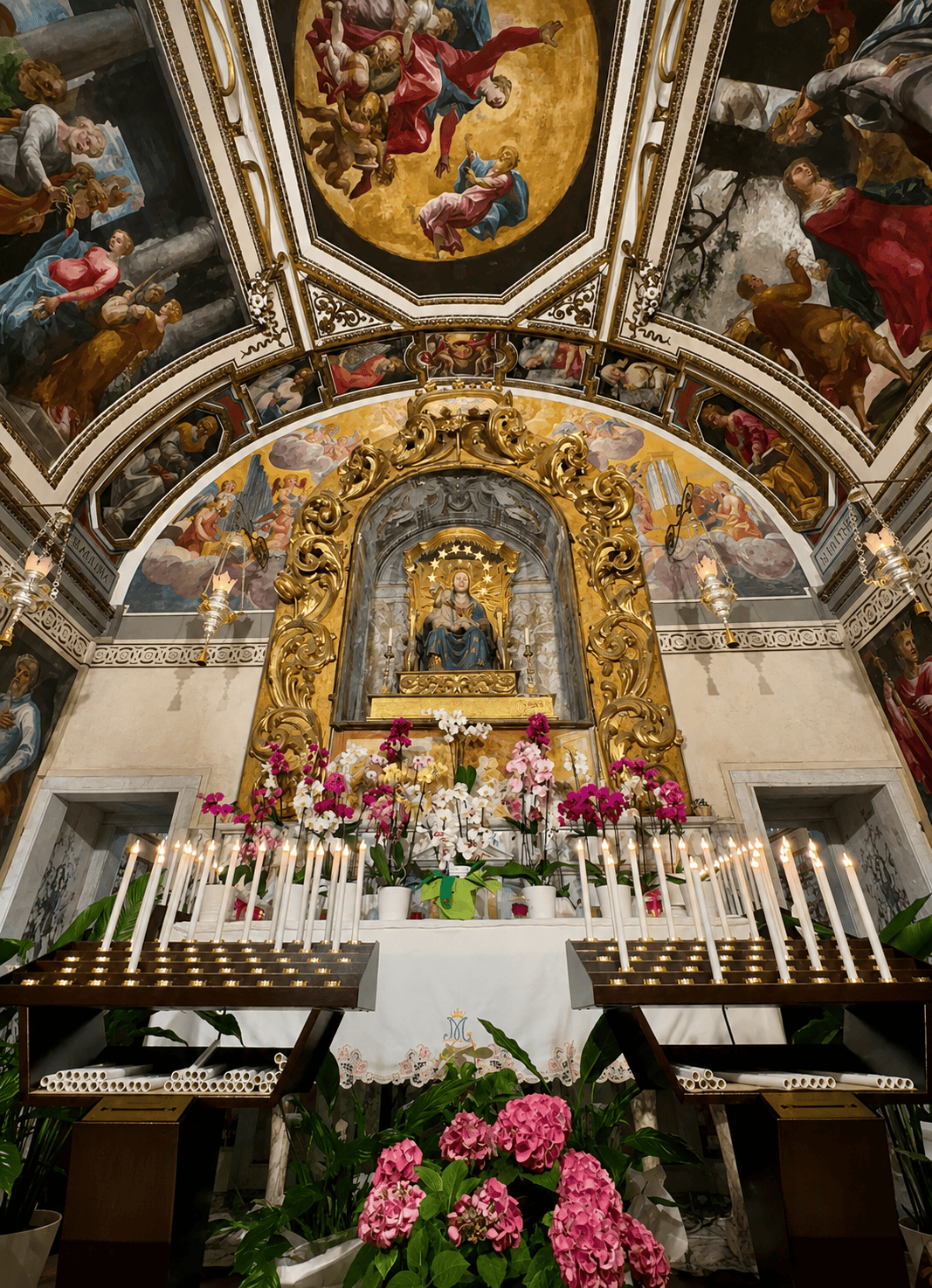Images Ita 1 51b3021c 5bcf 4efb Bd76 93c8d3f9c307 99 Image