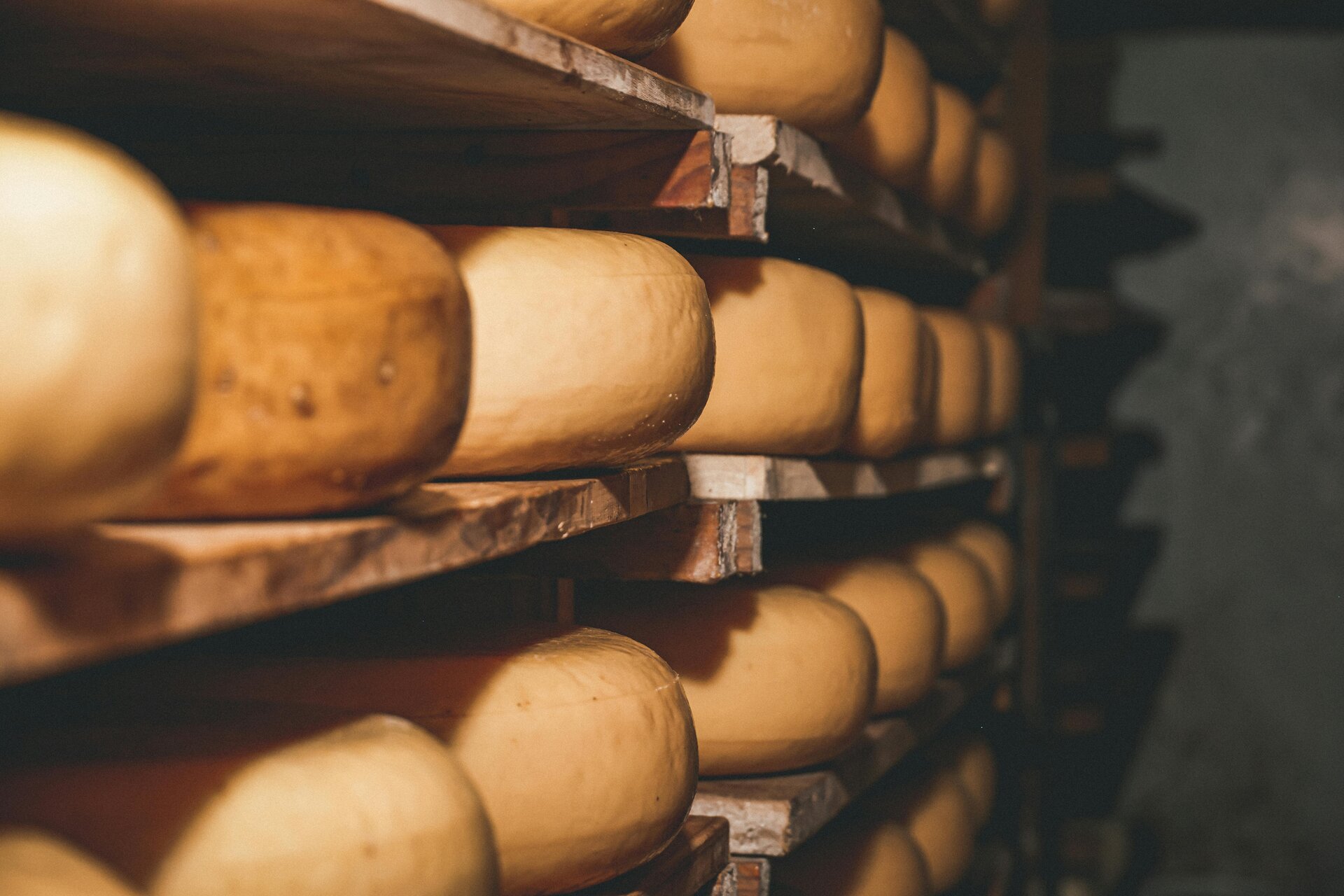 Pecorino dei Sibillini