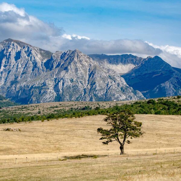 5 Monte Bove Estivo