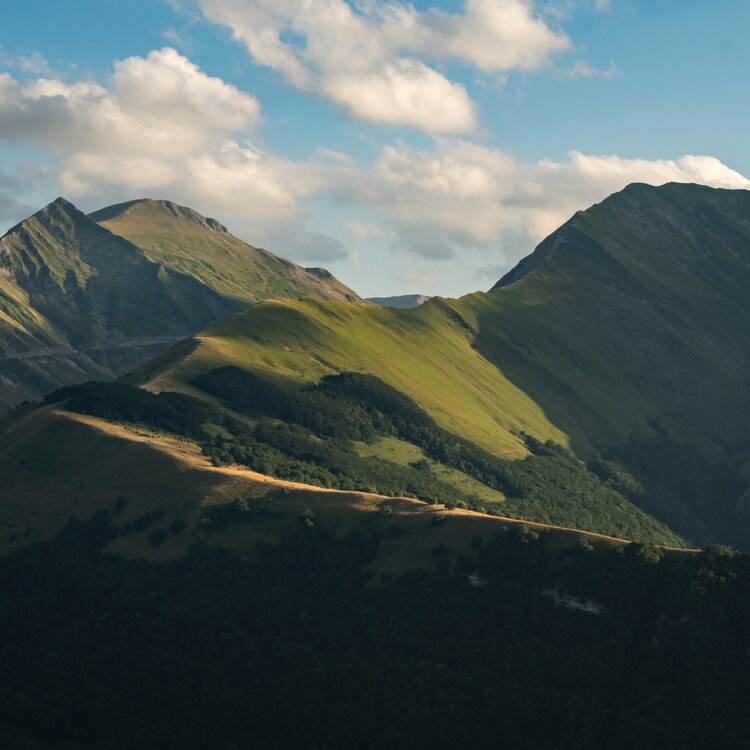 Bolognola